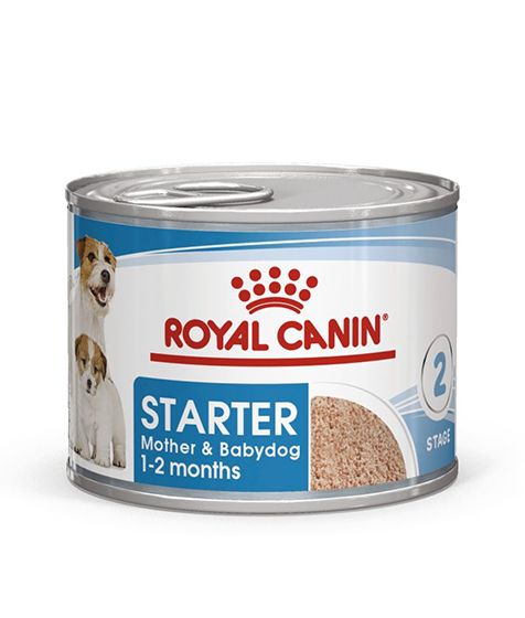 Royal Canin Starter Mousse (WET FOOD - CANS) 12x195G